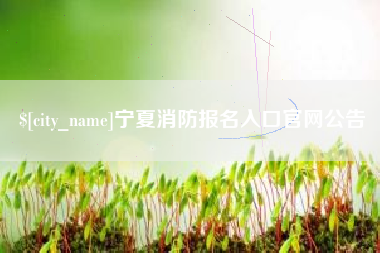 宁波宁夏消防报名入口官网公告