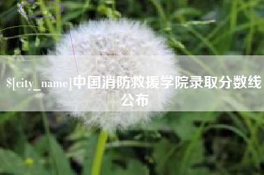 宁波中国消防救援学院录取分数线公布