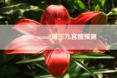 宁波排三九宫图预测