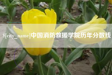 宁波中国消防救援学院历年分数线