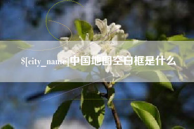 宁波中国地图空白框是什么