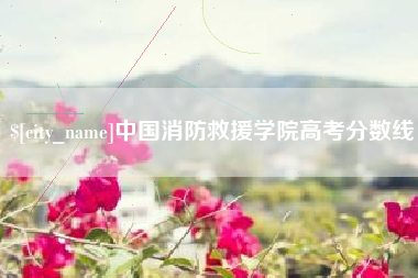 宁波中国消防救援学院高考分数线