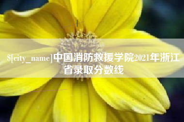 宁波中国消防救援学院2021年浙江省录取分数线