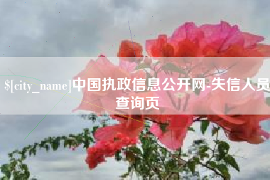 宁波中国执政信息公开网-失信人员查询页