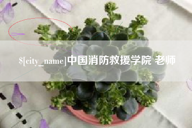 宁波中国消防救援学院 老师