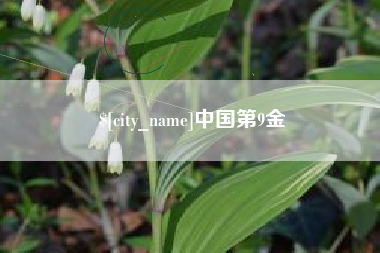 宁波中国第9金