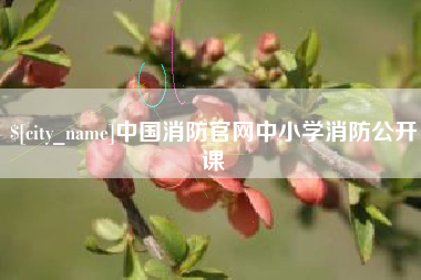 宁波中国消防官网中小学消防公开课