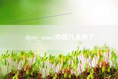 宁波中国几金牌了