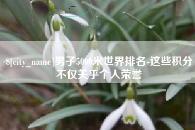 宁波男子5000米世界排名-这些积分不仅关乎个人荣誉