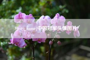 宁波中国冠军头像图片