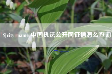 宁波中国执法公开网征信怎么查询