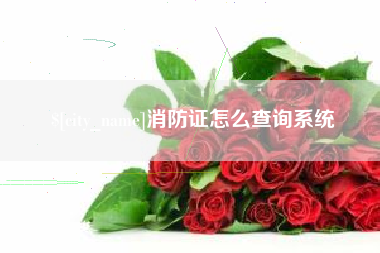 宁波消防证怎么查询系统