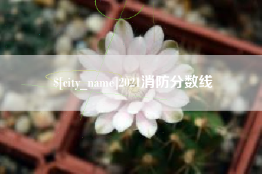 宁波2021消防分数线