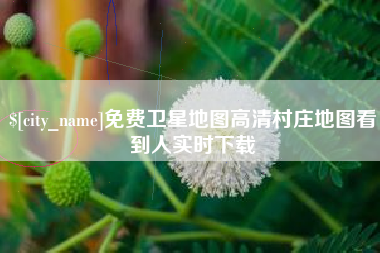 宁波免费卫星地图高清村庄地图看到人实时下载