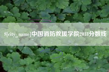 宁波中国消防救援学院2018分数线