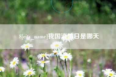 宁波我国消防日是哪天