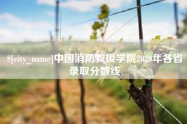 宁波中国消防救援学院2020年各省录取分数线