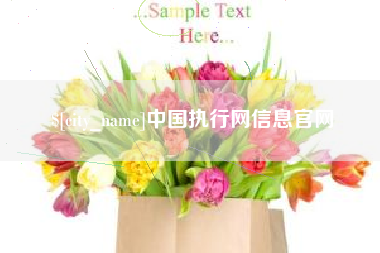 宁波中国执行网信息官网