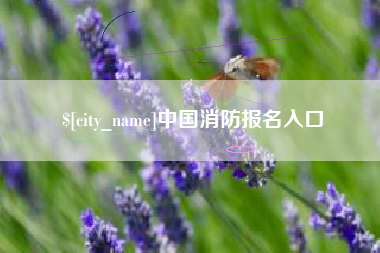 宁波中国消防报名入口