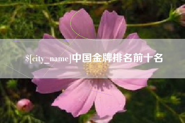 宁波中国金牌排名前十名