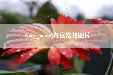 宁波九宫格龙图片