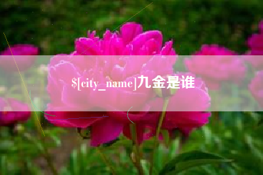 宁波九金是谁
