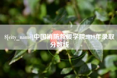 宁波中国消防救援学院2019年录取分数线