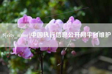 宁波中国执行信息公开网平台维护