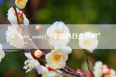 宁波“中国执行公开网”