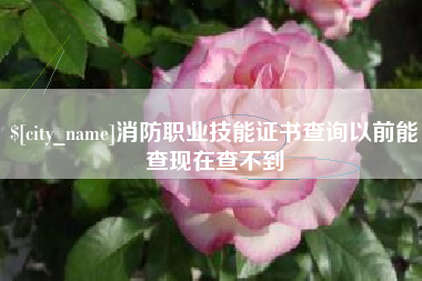 宁波消防职业技能证书查询以前能查现在查不到