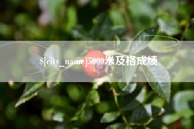 宁波5000米及格成绩