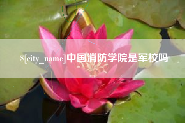 宁波中国消防学院是军校吗