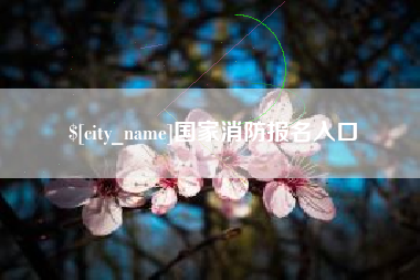 宁波国家消防报名入口