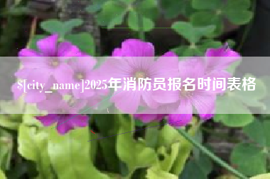 宁波2025年消防员报名时间表格