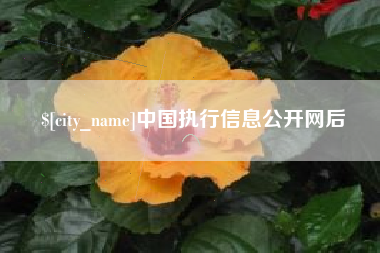 宁波中国执行信息公开网后