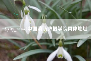 宁波中国消防救援学院具体地址