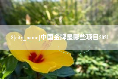 宁波中国金牌是哪些项目2021