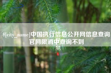 宁波中国执行信息公开网信息查询官网限消中查询不到