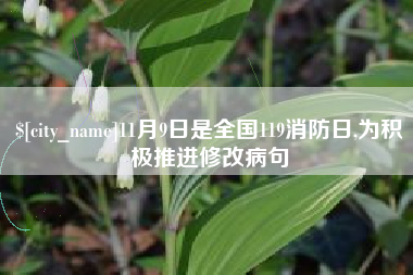 宁波11月9日是全国119消防日,为积极推进修改病句