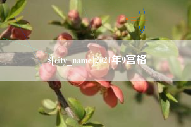 宁波2021年9宫格