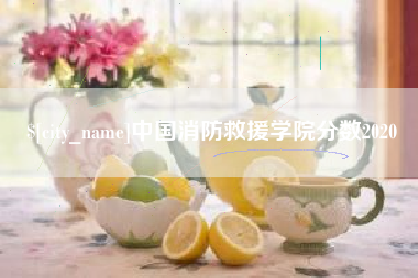 宁波中国消防救援学院分数2020