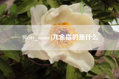 宁波九金指的是什么