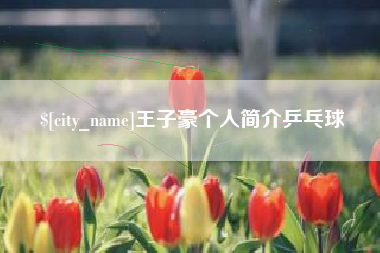 宁波王子豪个人简介乒乓球
