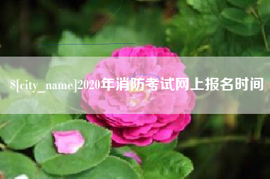 宁波2020年消防考试网上报名时间
