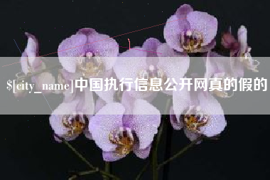 宁波中国执行信息公开网真的假的