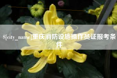 宁波重庆消防设施操作员证报考条件