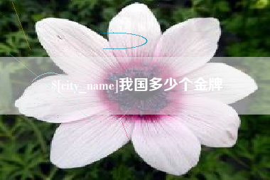 宁波我国多少个金牌