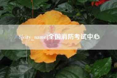 宁波全国消防考试中心