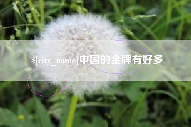 宁波中国的金牌有好多