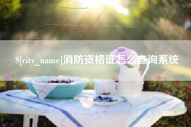 宁波消防资格证怎么查询系统